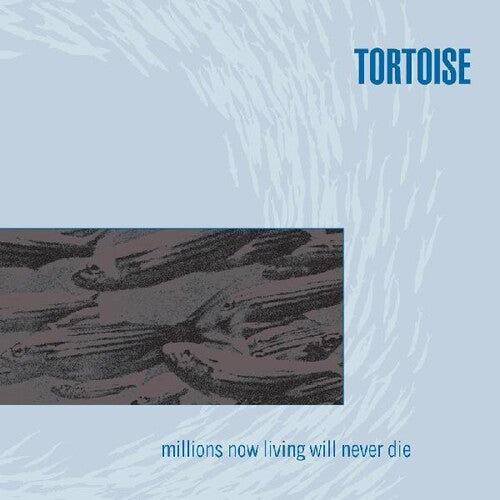 Tortoise: Millions Now Living Will Never Die