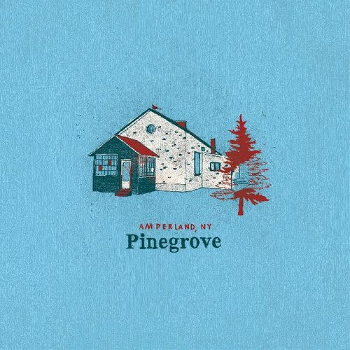 Pinegrove: Amperland Ny