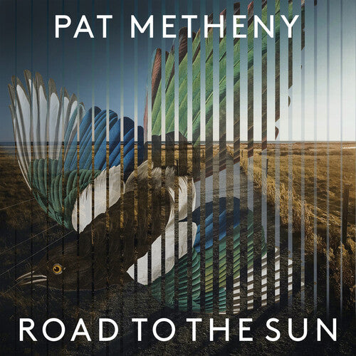 Metheny, Pat: Road To The Sun