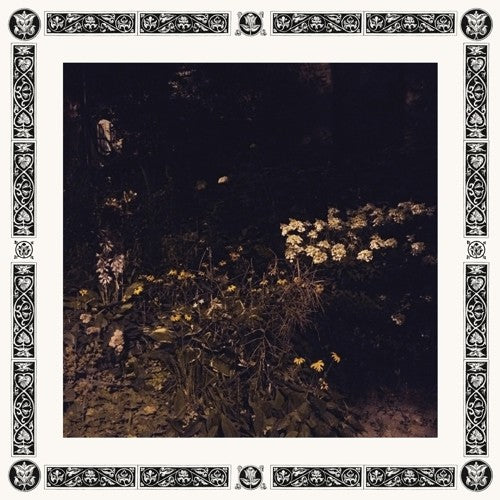 Davachi, Sarah: Pale Bloom