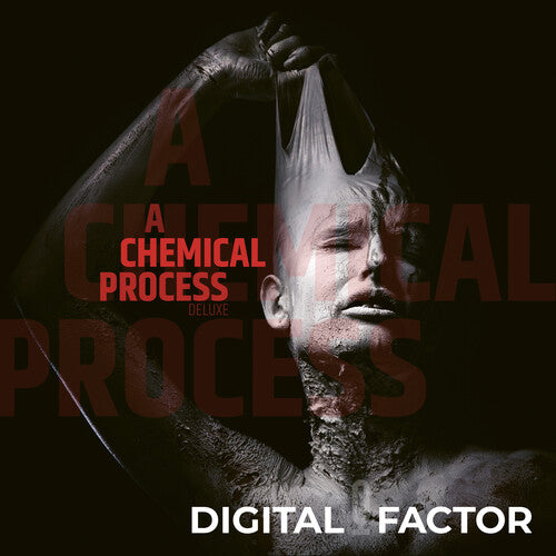 Digital Factor: A Chemical Process