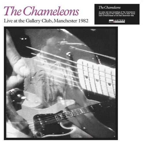 Chameleons: Live at the Gallery Club