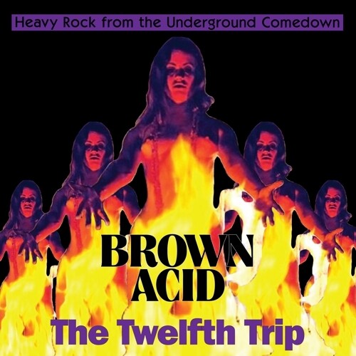 Brown Acid - the Twelfth Trip / Various: Brown Acid - The Twelfth Trip (Various Artists)