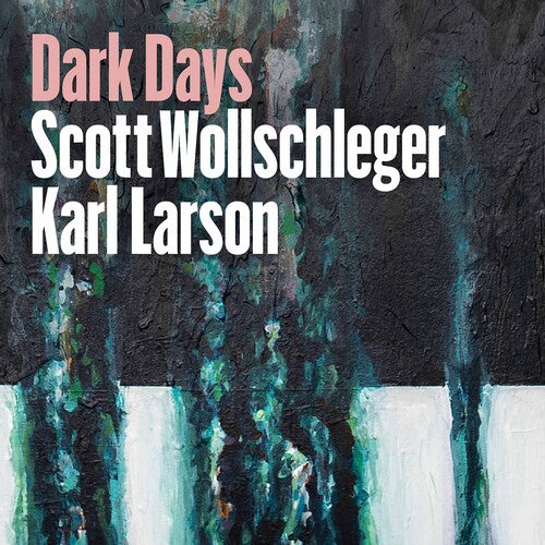 Wollschleger / Larson: Dark Days