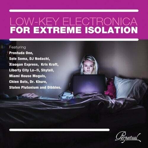 Low-Key Electronica for Extreme Isolation / Var: Low-key Electronica For Extreme Isolation