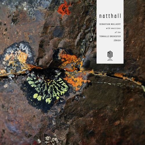 Mullaert / Mullaert: Natthall