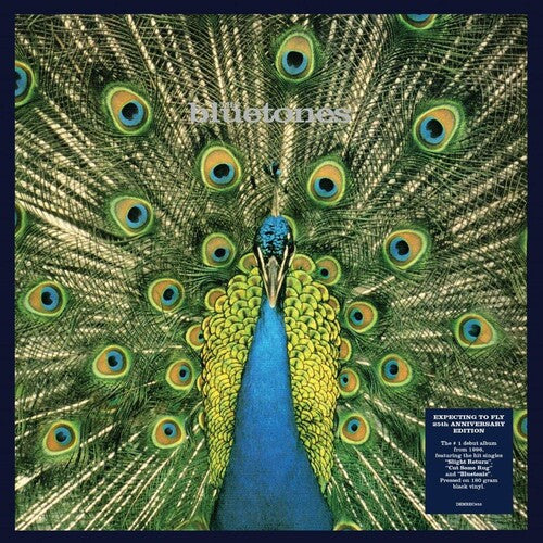 Bluetones: Expecting To Fly: 25th Anniversary [Gatefold 180-Gram Black Vinyl]