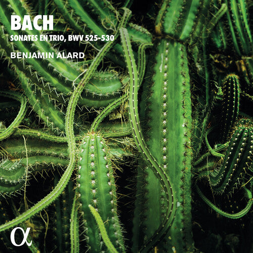 Bach, J.S. / Alard: Trio Sonatas for Organ