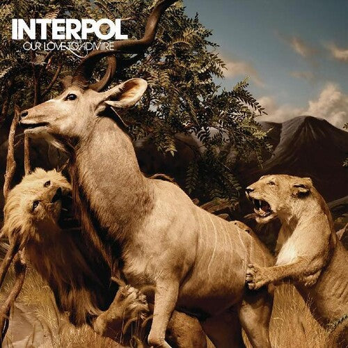 Interpol: Our Love To Admire