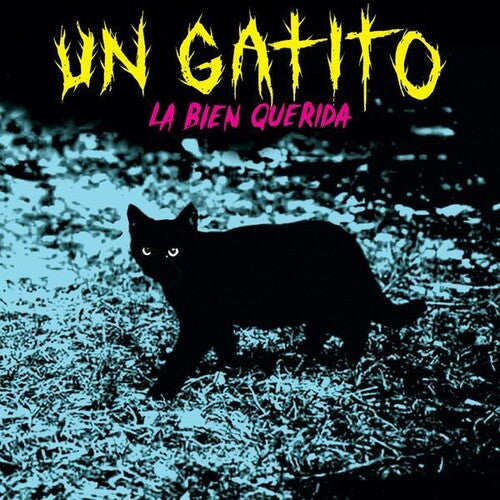 La Bien Querida: Un Gatito