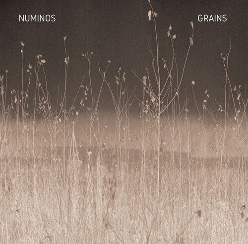 Numinos: Grains