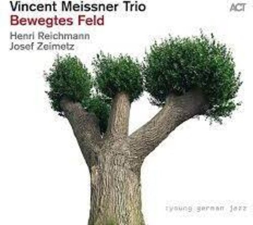 Meissner, Vincent Trio: Bewegtes Feld