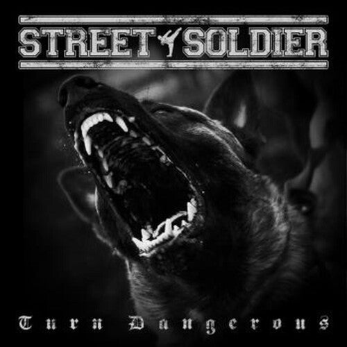 Street Soldier: Turn Dangerous