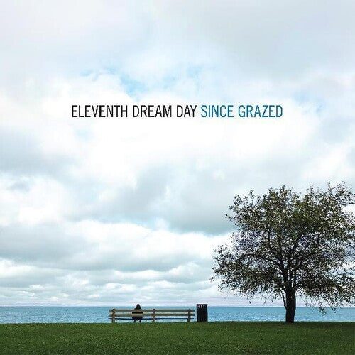 Eleventh Dream Day: Since Grazed