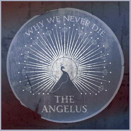 Angelus: Why We Never Die