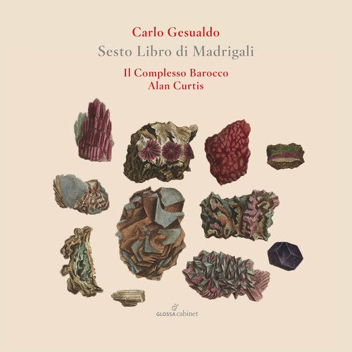 Gesualdo / Il Complesso Barocco / Curtis: Sesto Libro de Madrigali