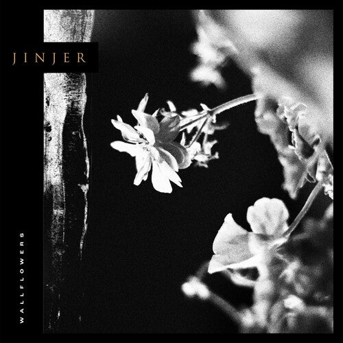 Jinjer: Wallflowers