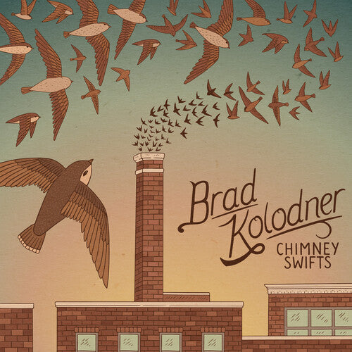 Kolodner, Brad: Chimney Swifts
