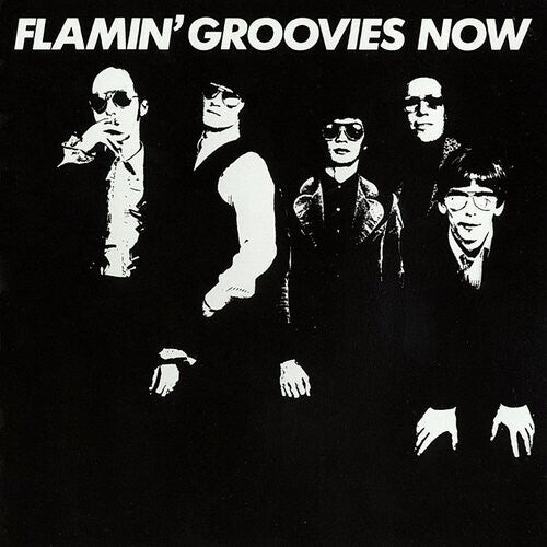 Flamin' Groovies: Now