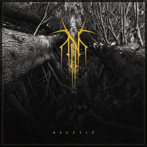 Norse: Ascetic