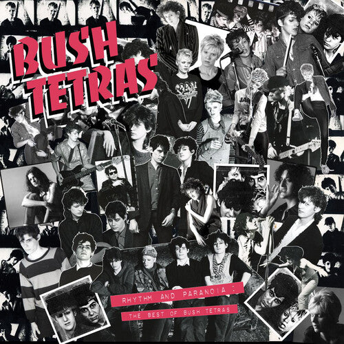 Bush Tetras: Rhythm & Paranoia: The Best of Bush Tetras