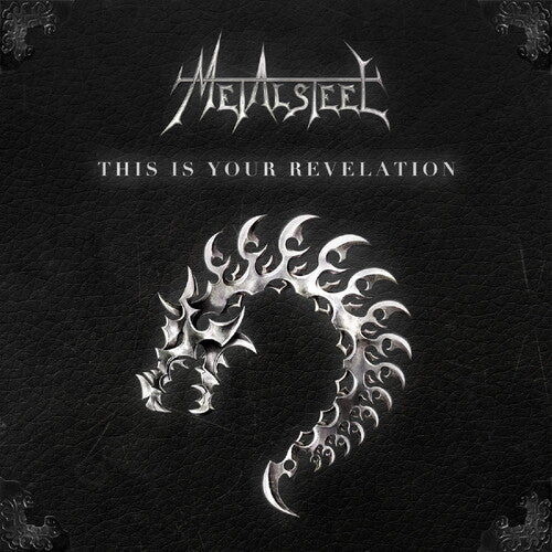 Metalsteel: This Is Your Revelation