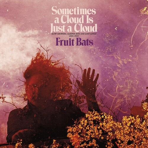 Fruit Bats: Sometimes a Cloud Is Just a Cloud: Slow Growers, Sleeper Hits and Lost Songs (2001–2021)