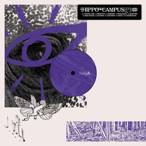 Hippo Campus: Lp3