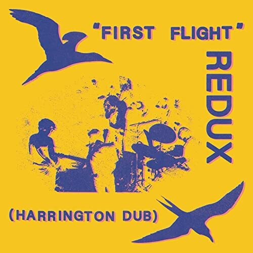 Forsyth, Chris: First Flight Redux (Harrington Dub)