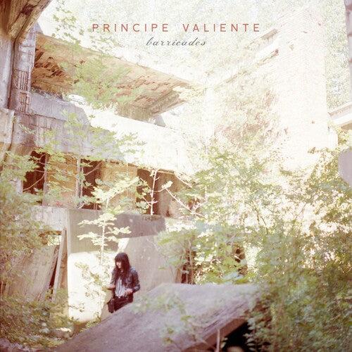 Principe Valiente: Barricades