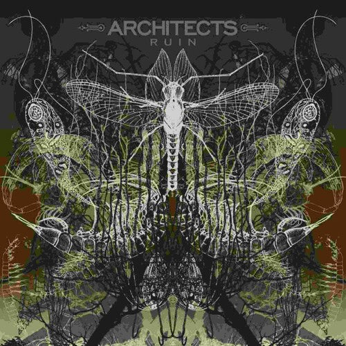 Architects: Ruin