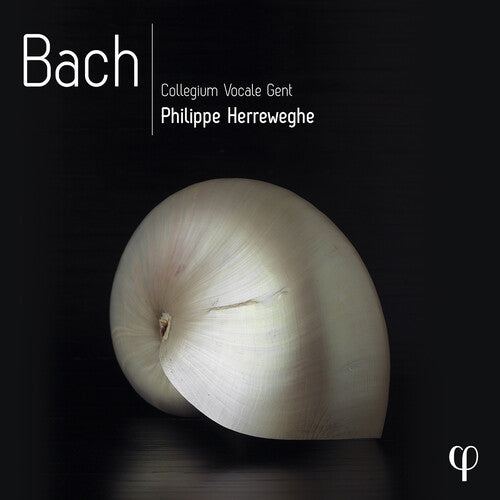 Bach, J.S. / Herreweghe / Collegium Vocale Gent: Bach