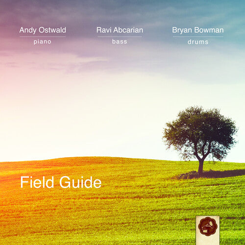 Ostwald, Andy Trio: Field Guide
