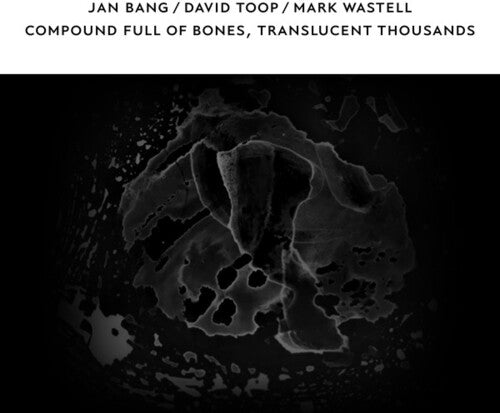 Bang, Jan / Toop, David / Wastell, Mark: Compound Full of Bones Translucent Thousands