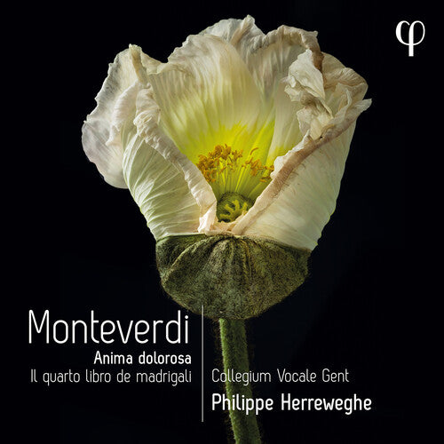 Monteverdi / Collegium Vocale Gent / Herreweghe: Il Quarto Libro de