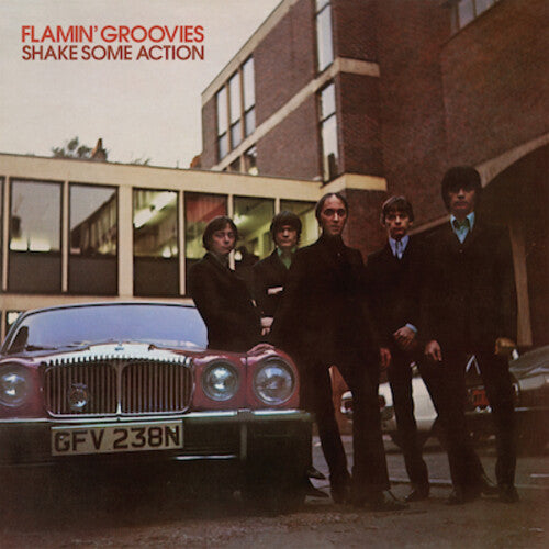 Flamin' Groovies: Shake Some Action