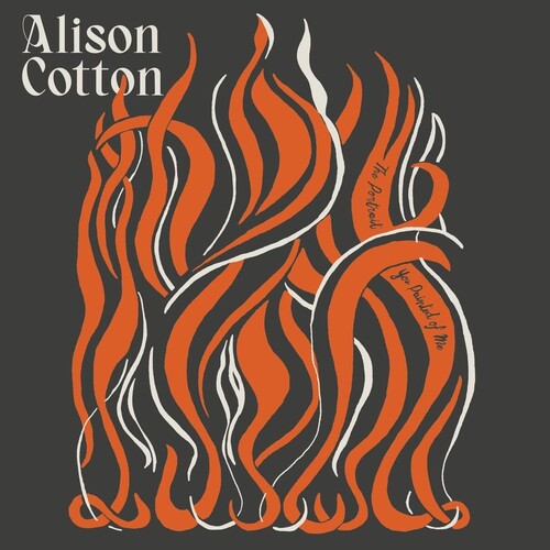 Cotton, Alison: The Portrait You Painted Of Me