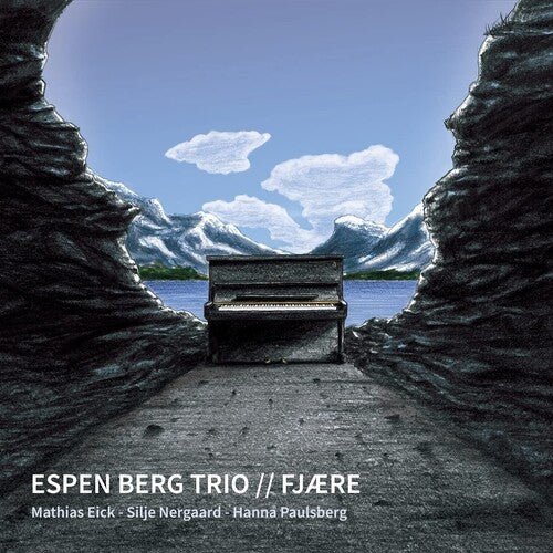 Berg, Espen Trio: Fjaere