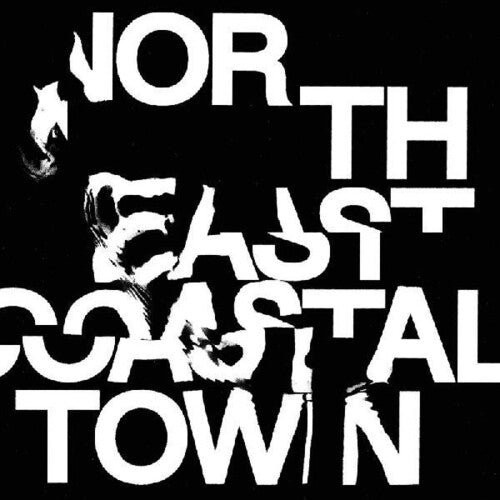 Life: North East Coastal Town