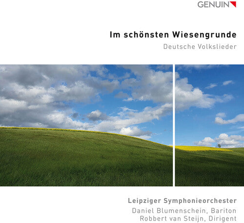 Mendelssohn / Leipziger Symphonieorchester: Im Schonsten Wiesengrunde