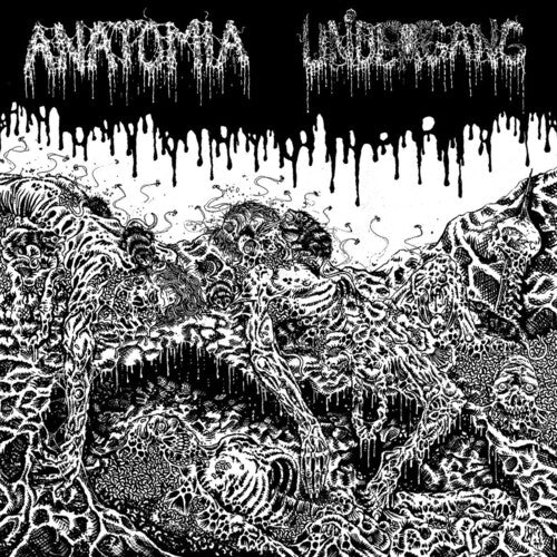 Undergang / Anatomia: Split