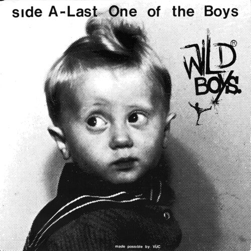 Wild Ones: Wild Boys - Last One Of The Boys / We're Only Monsters