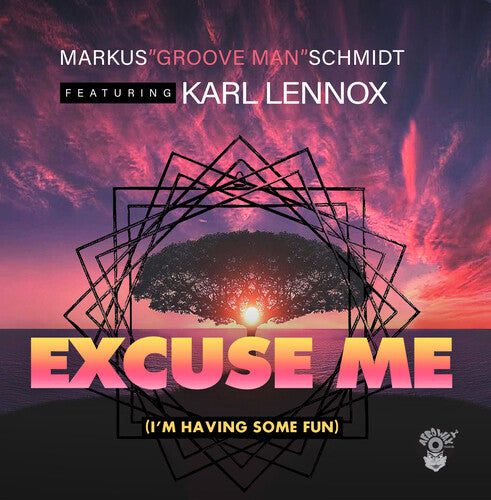 Schmidt, Markus / Lennox, Karl: Excuse Me (I'm Having Some Fun)