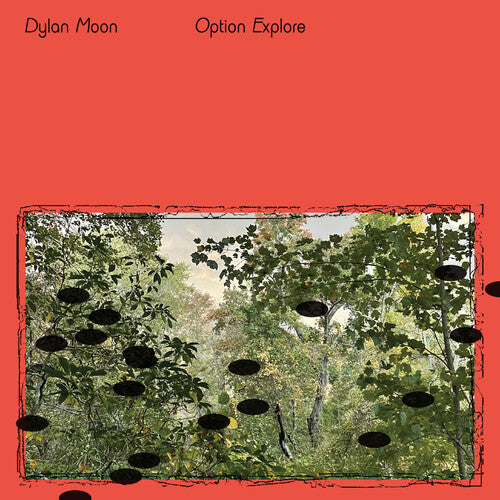 Moon, Dylan: Option Explore