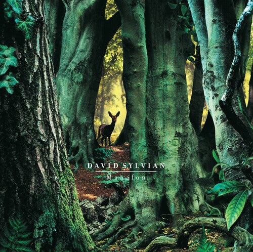 Sylvian, David: Manafon