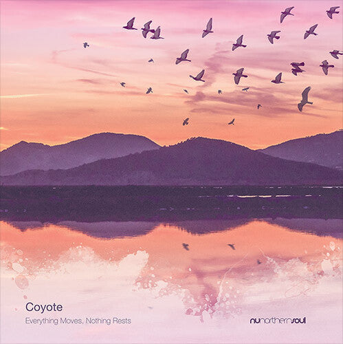 Coyote: Everything Moves Nothing Rests