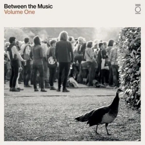 End of the Road Presents: Between the Music / Var: End Of The Road Presents: Between The Music / Various - White Colored Vinyl