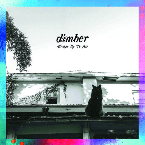 Dimber: Always Up To You