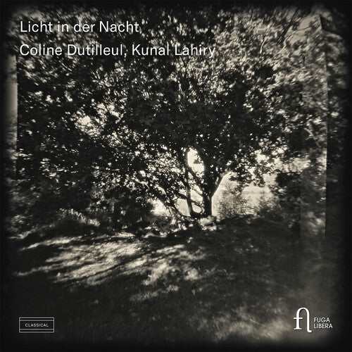 Dutilleul, Coline / Lahiry, Kunal: Licht in Der Nacht