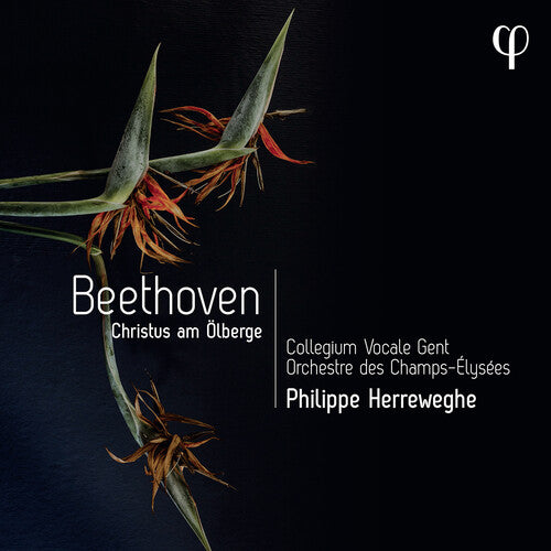 Collegium Vocale Gent / Orch Des Champs-Elysees: Beethoven: Christus Am Olberge